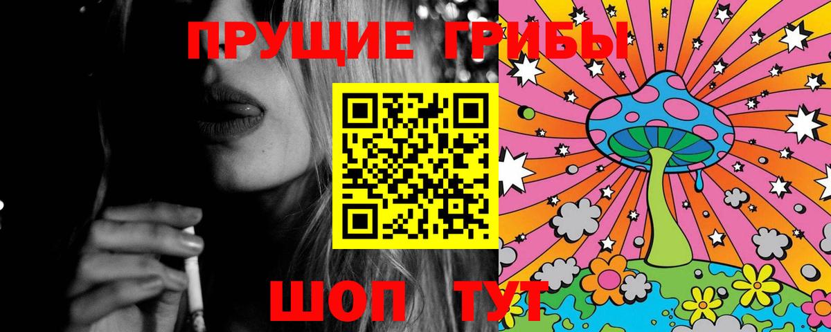Галлюциногенные грибы Psilocybe  Вход с VPN  где продают   Канаш 