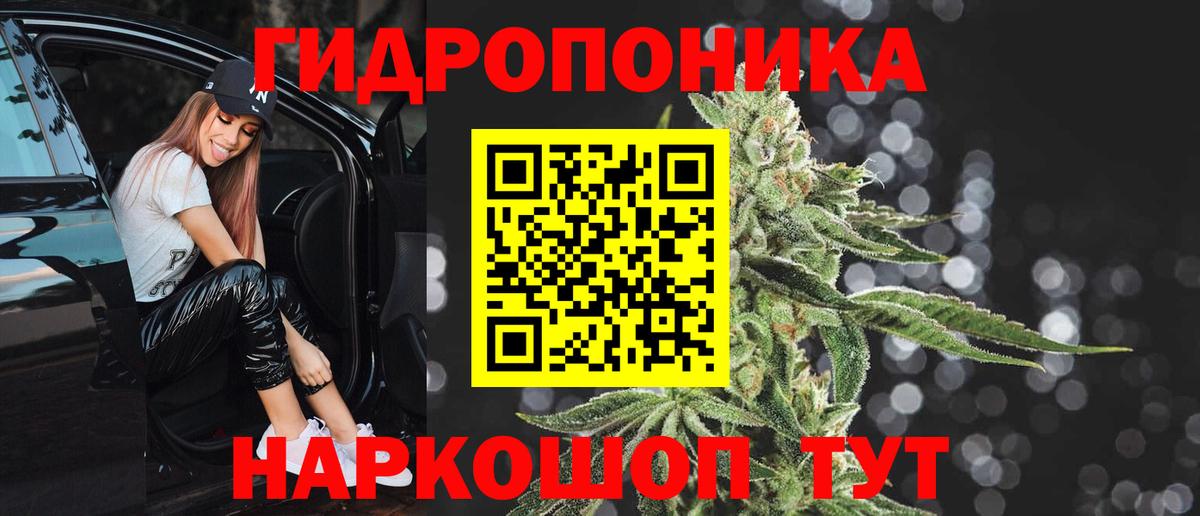 Бошки Шишки ГИДРОПОН Канаш